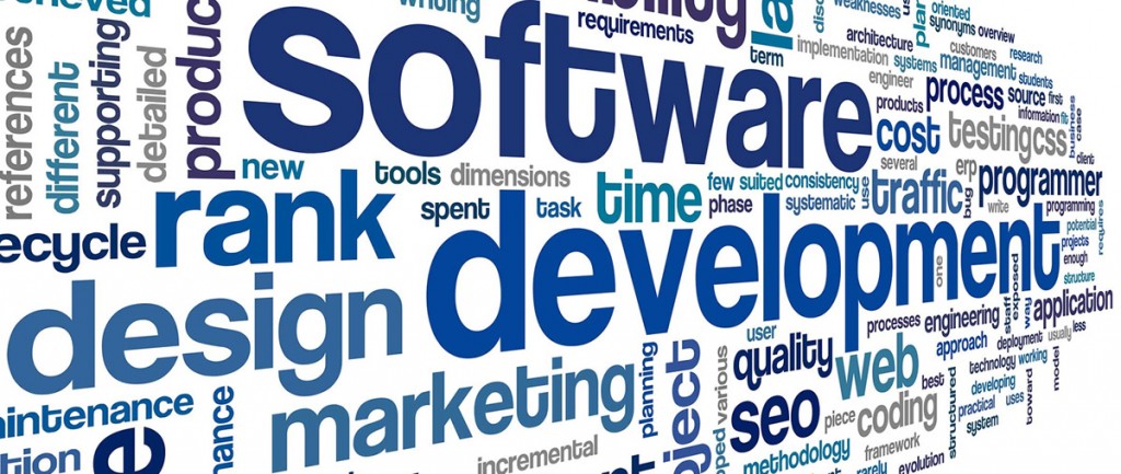 software_development1